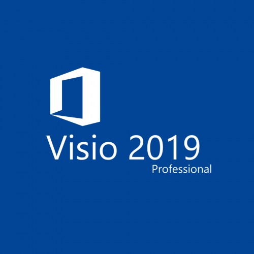 VISIO 2019 PROFESSIONAL LOGO-100